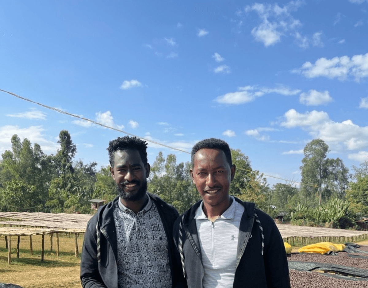 Etiopia Garse Yirgacheffe Bærtørket